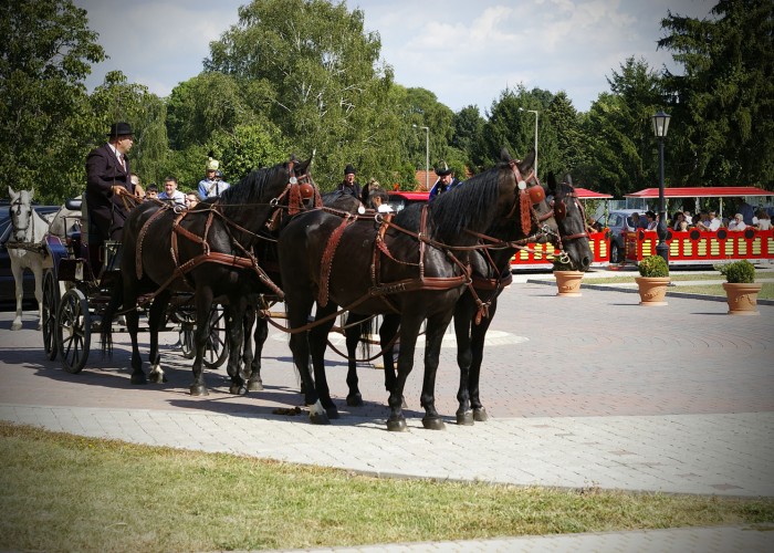 Harkány szüreti fesztivál - lovaskocsi