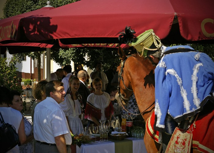 Harkány szüreti fesztivál - hangulatkép