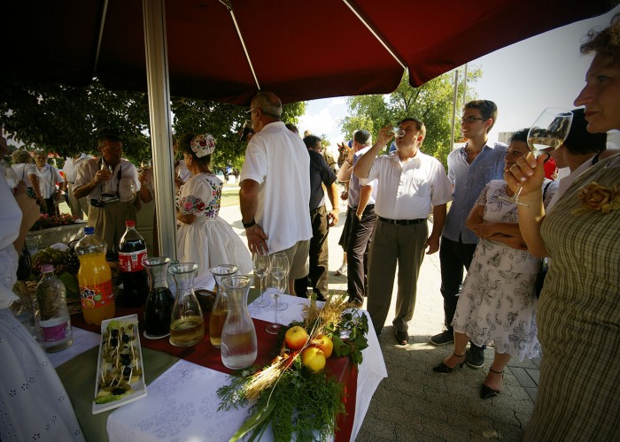 Harkány szüreti fesztivál - fehérbor, vörösbor, rosé kóstoló