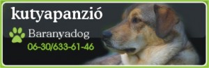 Baranyadog kutyapanzió