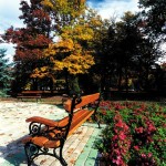 Bank an der Promenade von Zsigmondy mit Herbstfarben