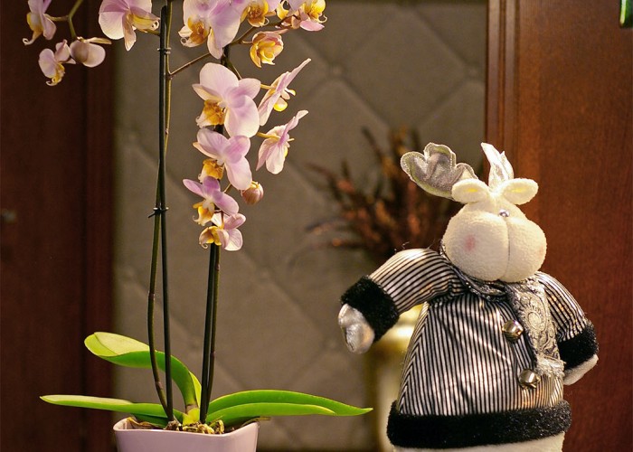 Díszítés a hotel recepciójának pultján