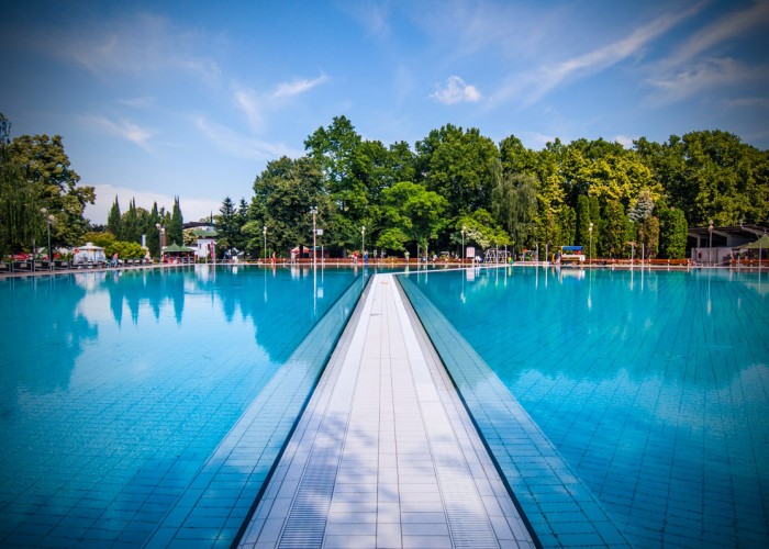 Harkányi lepke medence