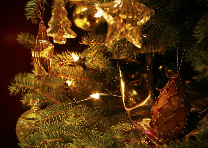 Téli hangulat - karácsonyfa