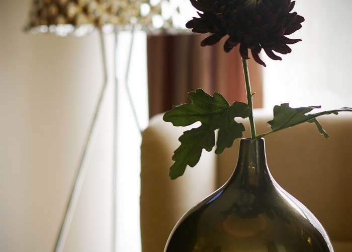 Xavin Hotel lounge dekoráció