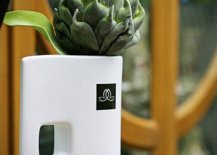 Lavanda kert - dekoráció