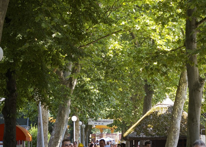 Harkányi Gyógy- és Strandfürdő, a főbejárat nyáron