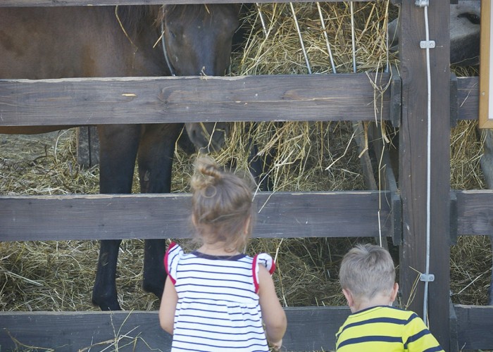 Ős-Dráva Látogatóközpont, lovakat etető gyermekek