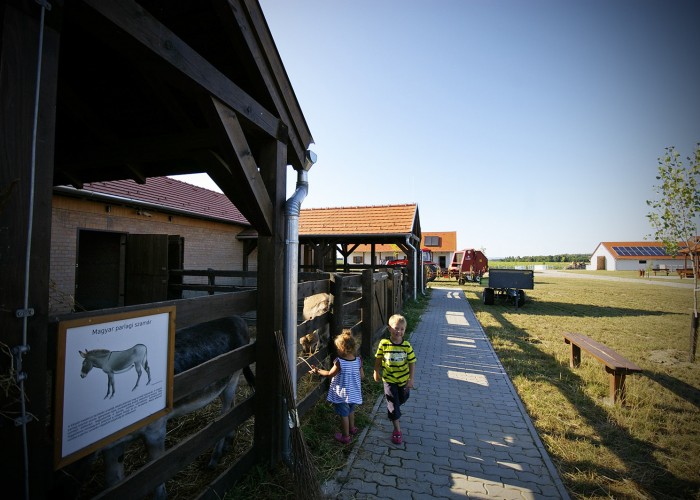 Ős-Dráva Látogatóközpont, háztáji gazdaság bemutatója