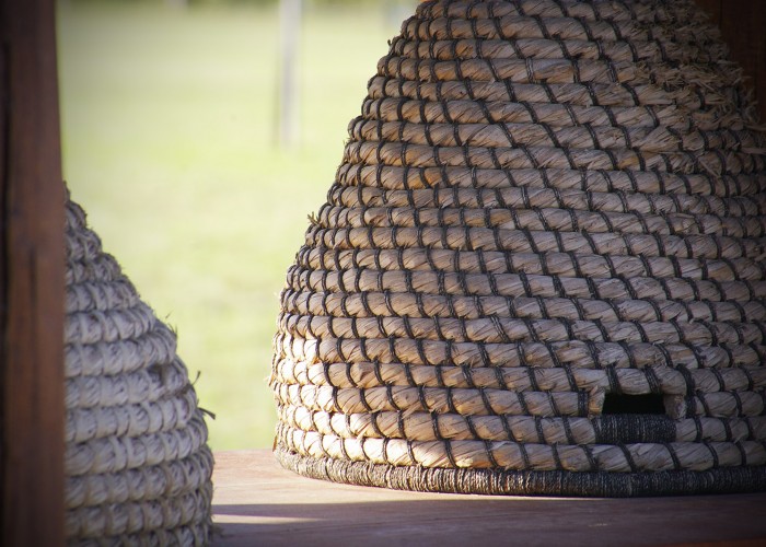 Ős-Dráva Látogatóközpont, tárlat