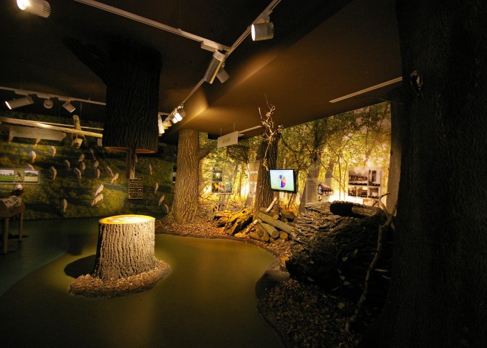 Ős-Dráva Látogatóközpont, interaktív látogatóterem