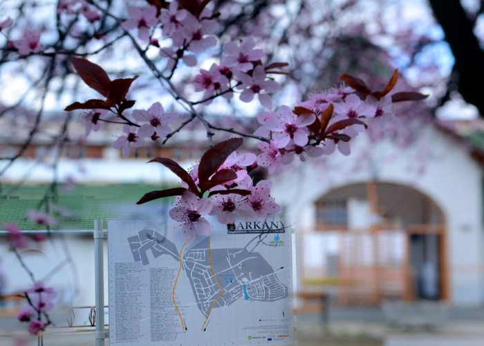 A Harkányi Gyógy- és Strandfürdő bejárata tavaszi virágzás idején