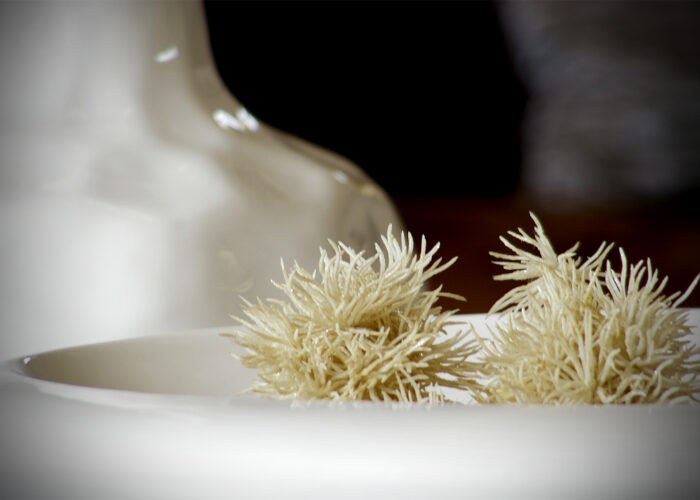 Xavin Hotel Harkány, asztali dekoráció a bejáratnál a lounge-ban