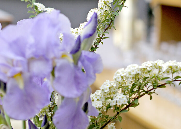 Nőszirom és tavaszi csokor - Xavin Hotel Harkány télikert