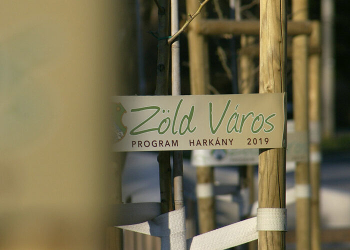 Harkány, Zöld Város program során telepített facsemeték a Zsigmondy sétányon