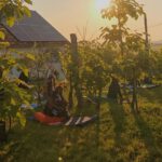 Horizom Yoga & Music - 2023.06 rendezvény galéria