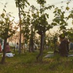 Horizom Yoga & Music - 2023.06 rendezvény galéria