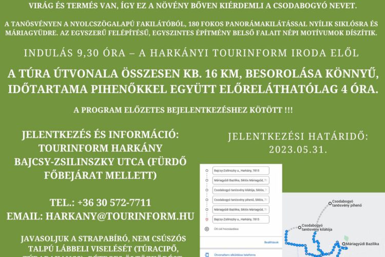 Gyalogtúra Máriagyűre, a Csodabogyó Tanösvényhez - plakát