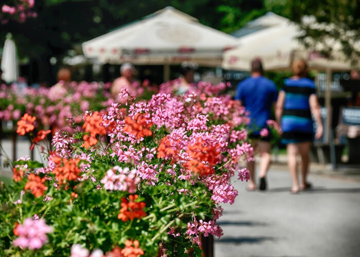 Harkányi Strand nyáron