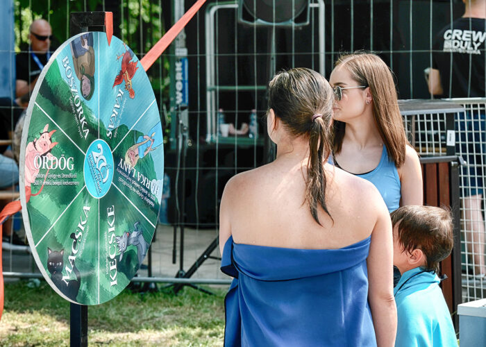 Programok a Harkányi Strandfürdőben