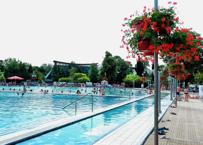 Harkányfürdő, Lepke-medence