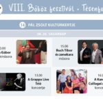 Bőköz Fesztivál Programfüzet