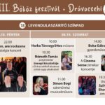 Bőköz Fesztivál Programfüzet