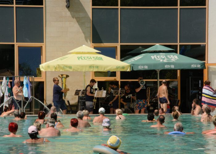 Harkányfürdő, Gyógyfürdő nyitott részlege