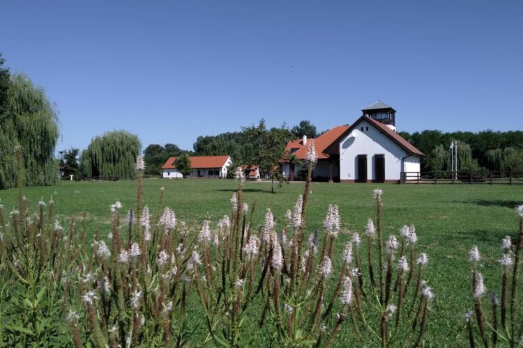 Ős-Dráva Látogatóközpont, levonult az árhullám