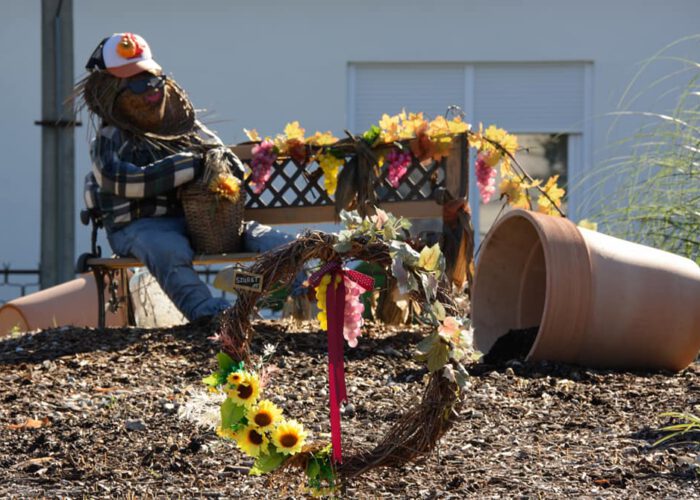 Harkány, őszi dekoráció 2023