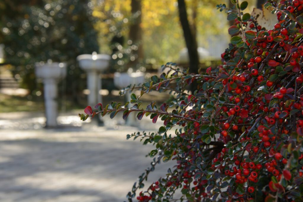 A harkányi strand ősszel