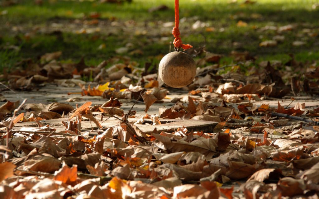 Teke a harkányi strandon - ősszel