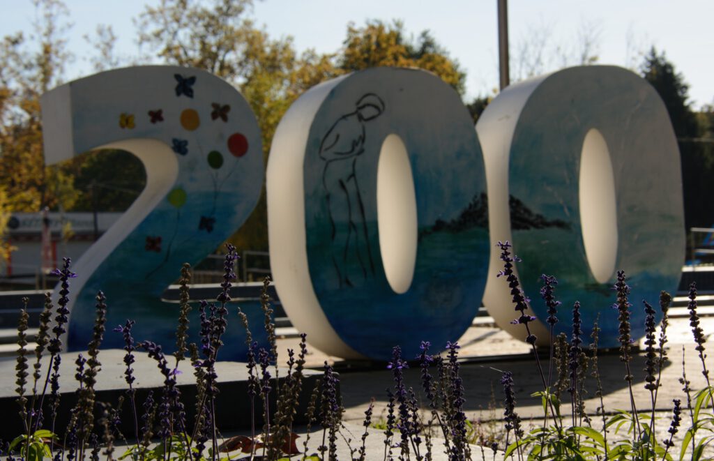 Harkányfürdő 200 éves jubileumi tábla - ősszel