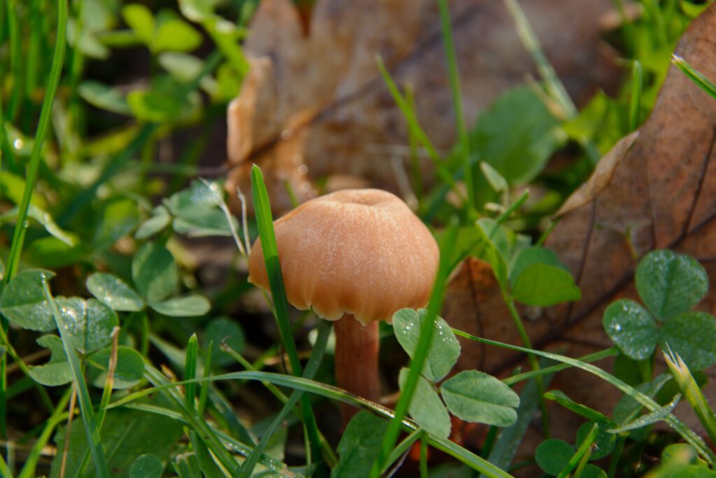 Harkányi Strandfürdő Ősszel