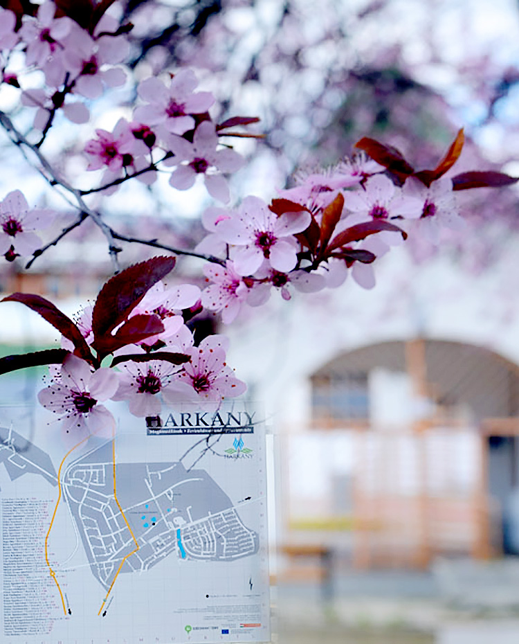 Xavin Hotel Tavaszi Wellness Csomagajánlat