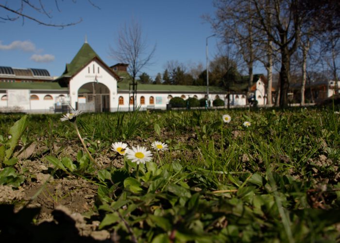 Harkányi Gyógyfürdő bejárata, 2024.03.