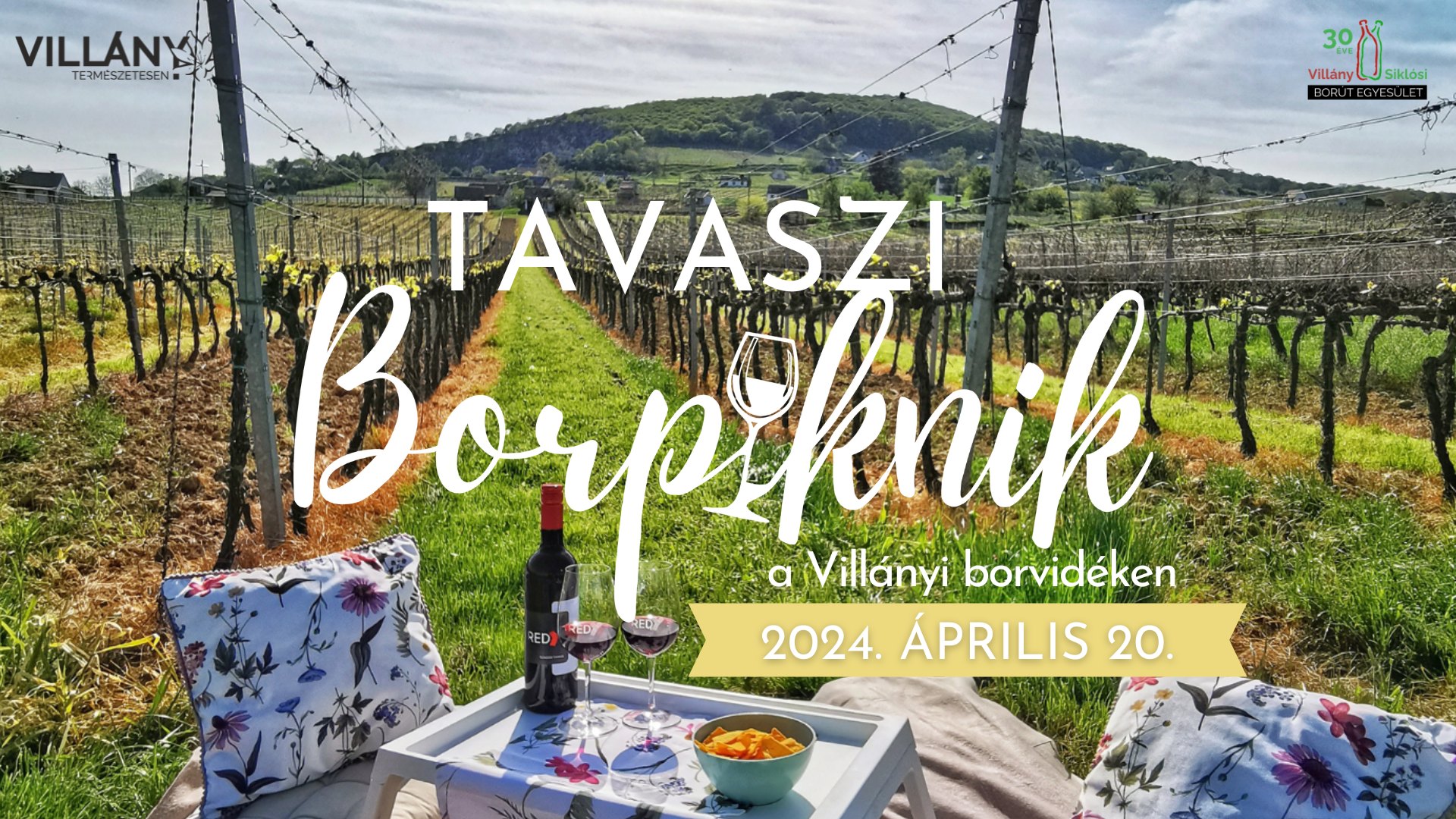 Tavaszi Borpiknik VIllány, 2024 - plakát