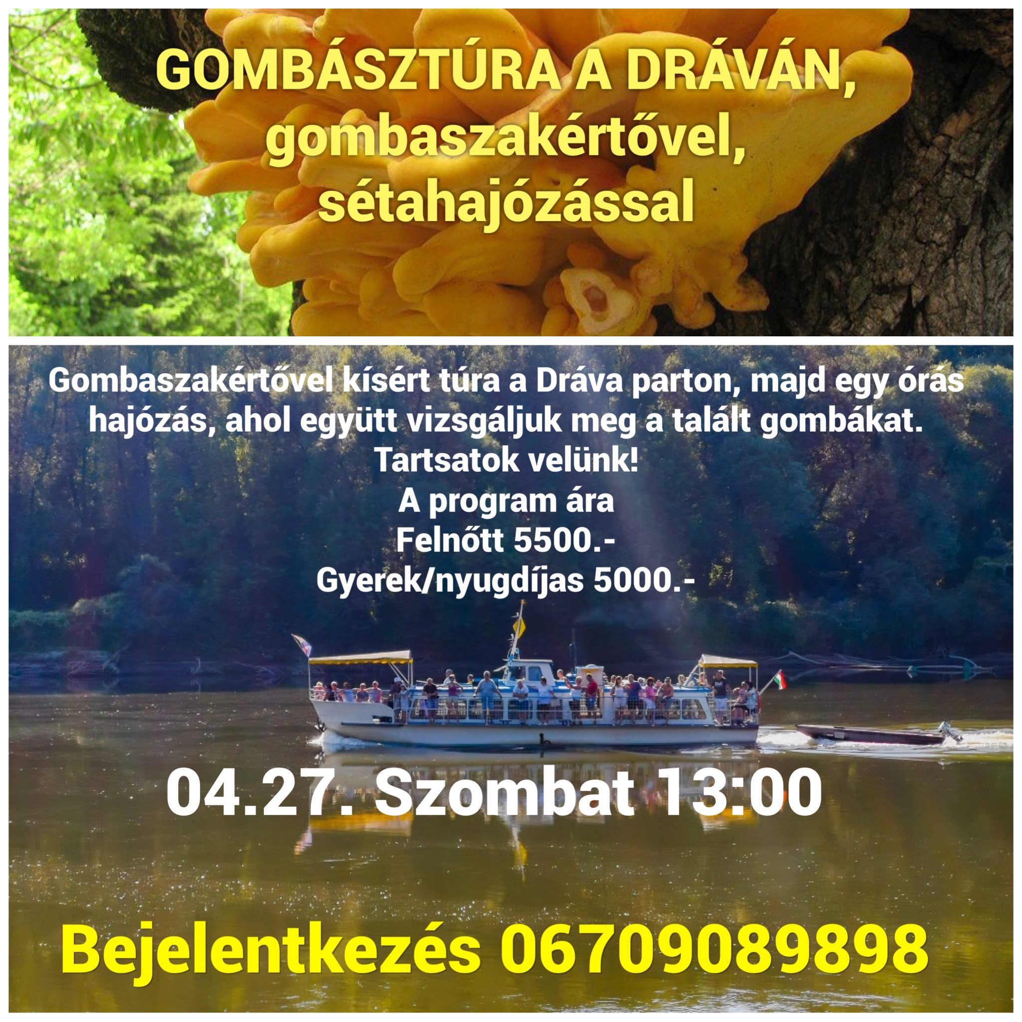 Gombásztúra a Dráván és sétahajózás