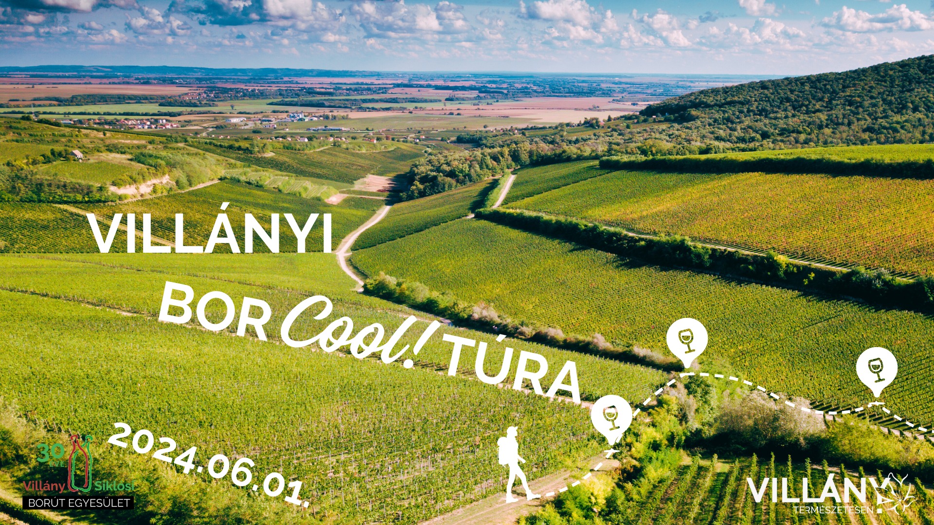 Villányi borCOOLtúra a legnevesebb borászatok érintésével