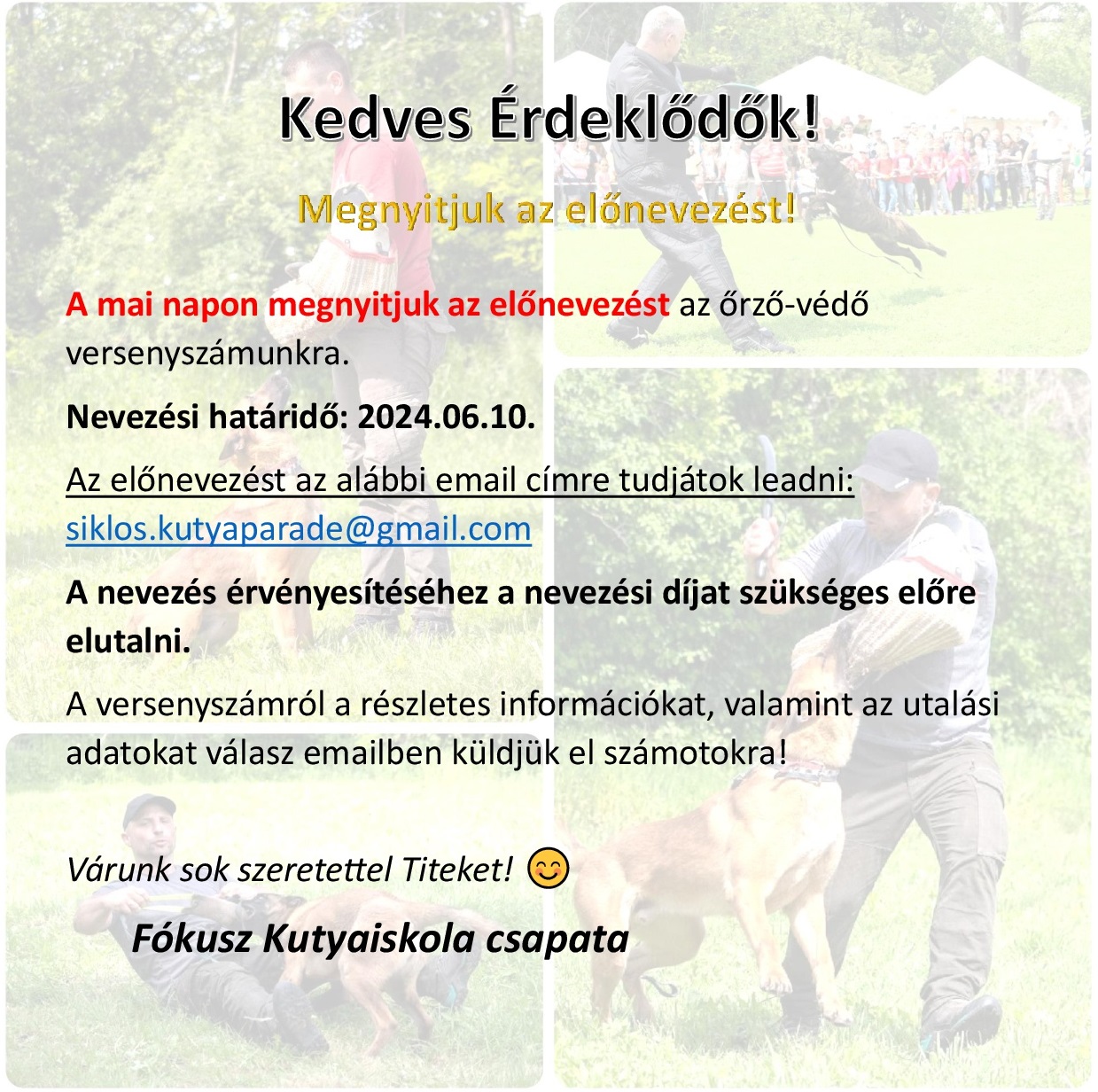 2. Kutyaparádé Siklós - nevezés tudnivalói