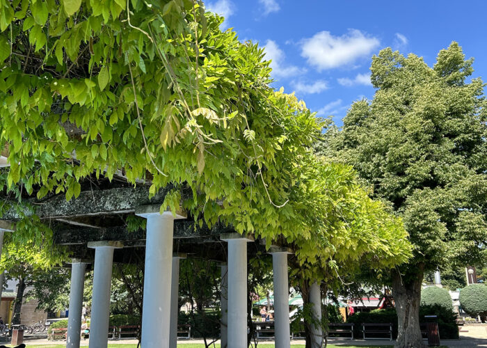 Harkányi Gyermek medence, 2024