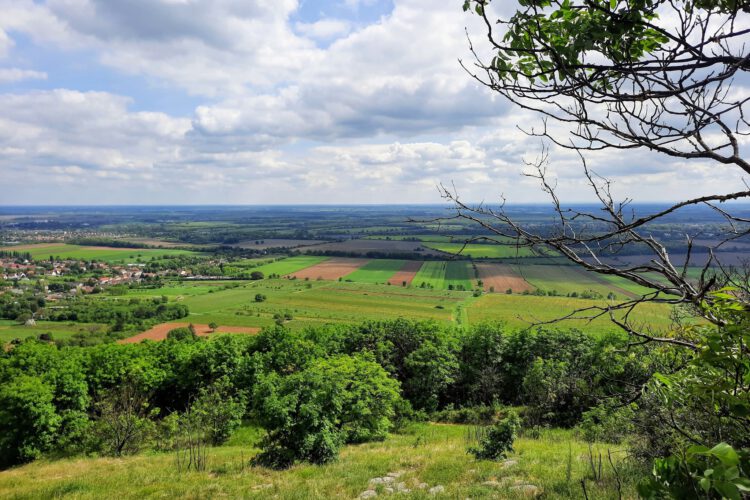 Túra a Tenkesen 2024.06.23-án
