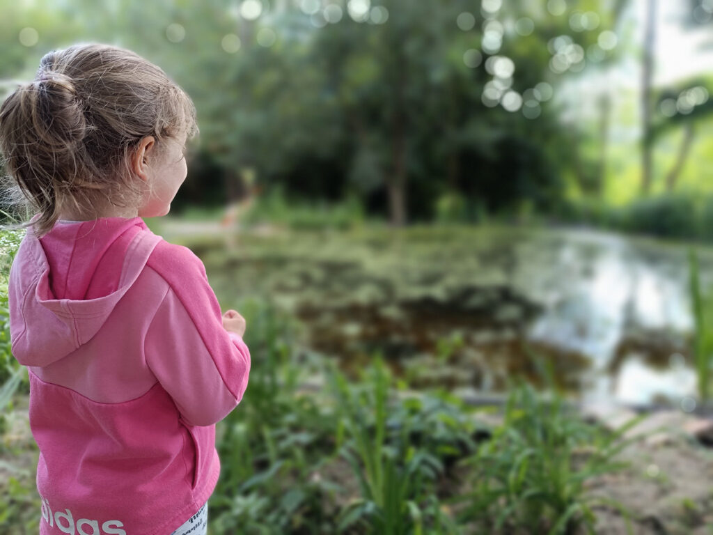 Szaporcai Cifraház 2024