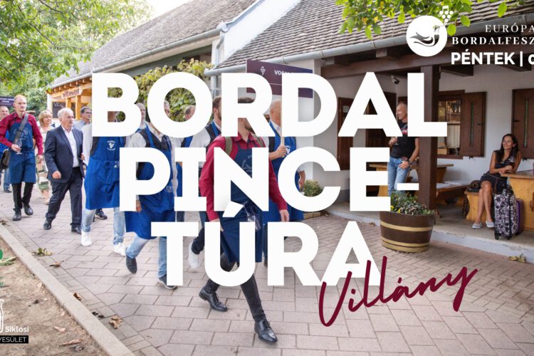 Bordal pincetúra Villányban, 2024.09.20. - a legjobb villányi borászatok legjobb boraival, 6 állomáson
