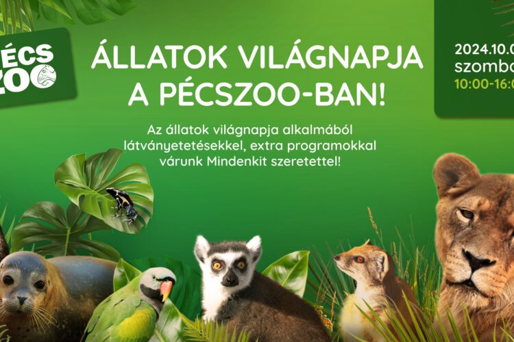 Állatok Világnapja Pécs - 2024.10.05.