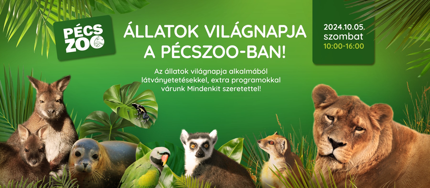 Állatok Világnapja Pécs - 2024.10.05.