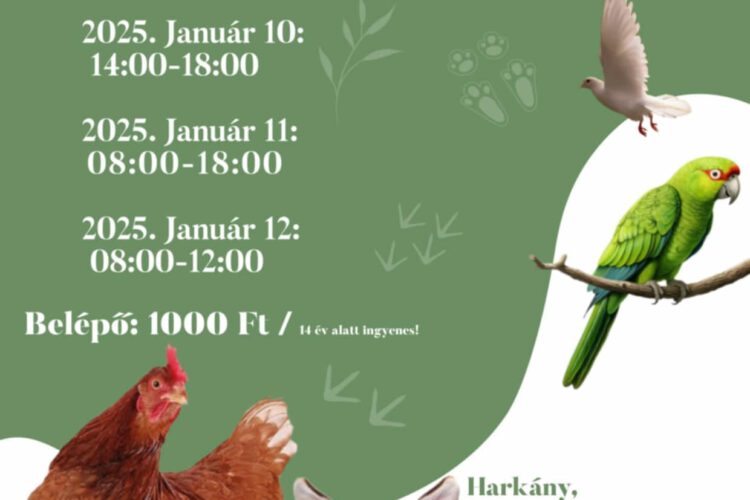 Galamb, baromfi, nyúl, díszmadár kiállítás Harkányban, 2025.01.10. - 12.