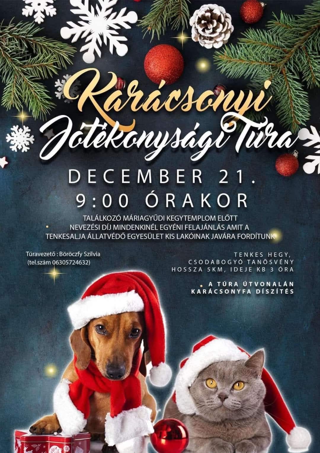Karácsonyi Jótékonysági Túra Máriagyűdön, 2024.12.21.