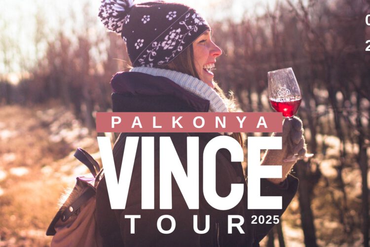 Palkonya Vince Tour 2025 - vezetett túra a borospincék közt! :)