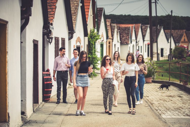 Pincejárótúra Villánykövesden, 2024.12.06.